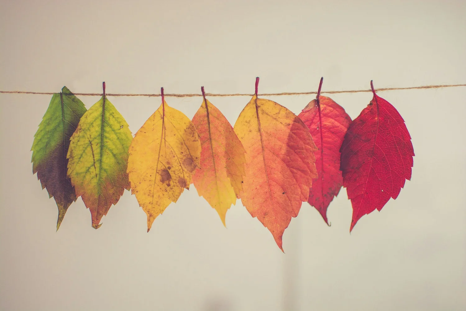 Transform Your Agile Processes: How Sierra Agility Makes It Possible